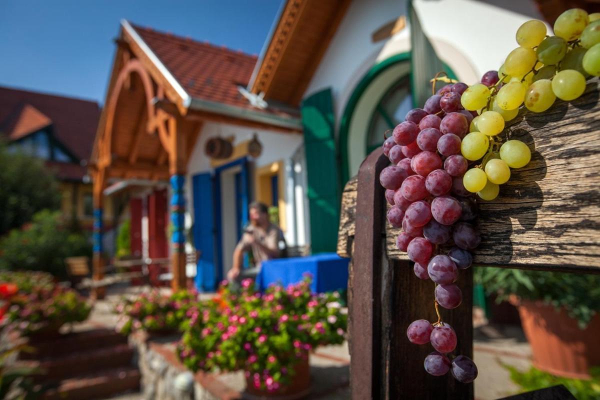 Bagoly Pincesor Fogado Bed & Breakfast Pecs Exterior photo