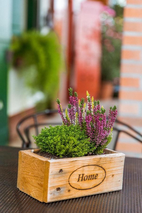 Bagoly Pincesor Fogado Bed & Breakfast Pecs Exterior photo