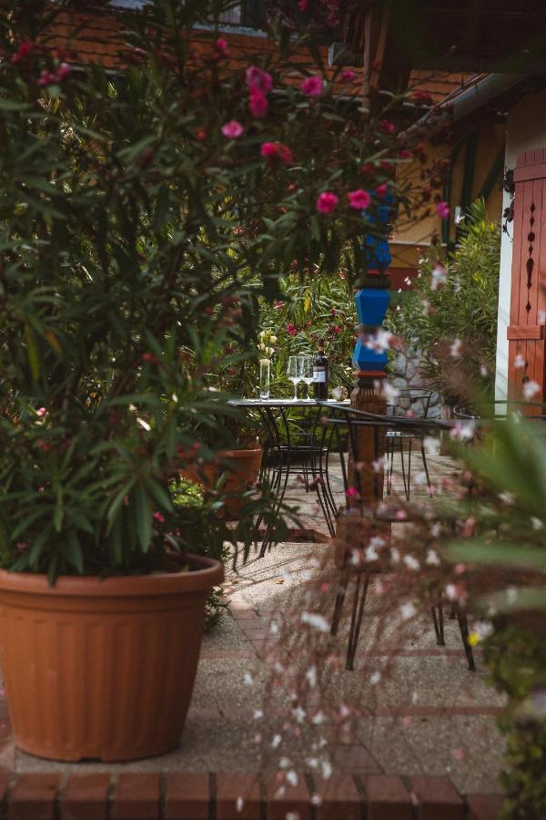 Bagoly Pincesor Fogado Bed & Breakfast Pecs Exterior photo